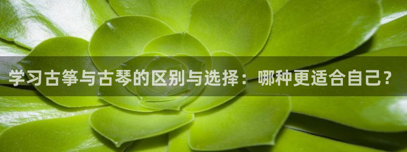凯发官方在线
