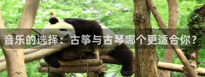 凯发k8手机是正品吗：音乐的选择：古筝与古琴哪个更适合你？