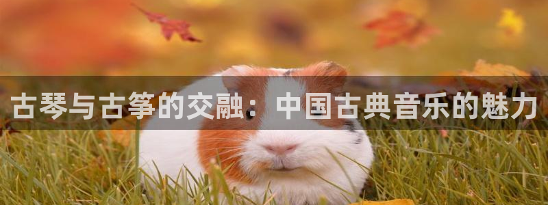 凯发k8客户端