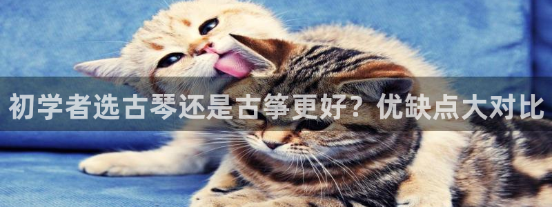 凯发app平台
