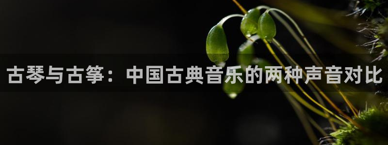 凯发旗舰厅网站