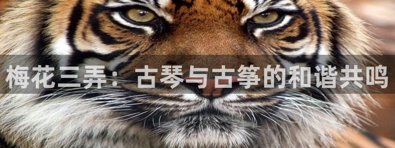 凯发k8娱乐是国内平台?