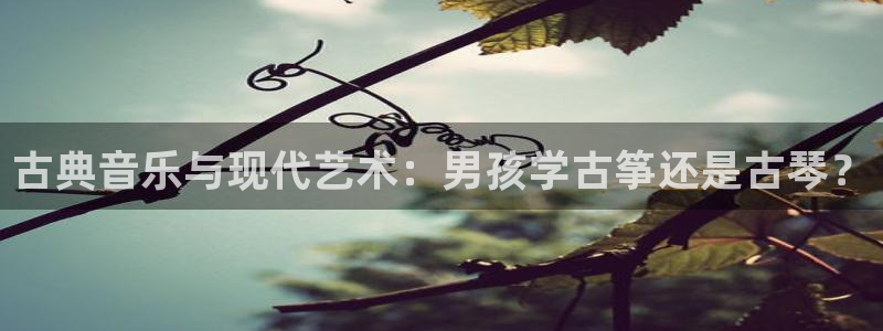 凯发k8娱乐是哪个国家的：古典音乐与现代艺术：男孩学古筝还是