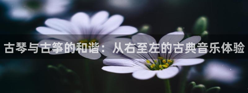 凯发k8国际真人版安全送38元：古琴与古筝的和谐：从右至左的