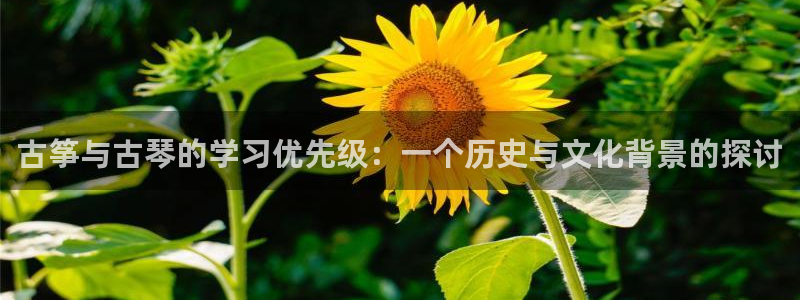凯发k8娱乐平台下载：古筝与古琴的学习优先级：一个历史与文化