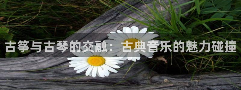 凯发国际网址官网