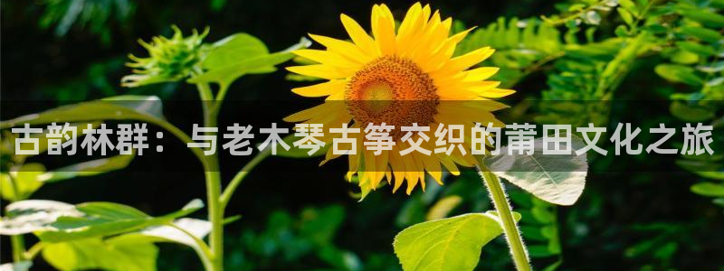 凯发k8天生赢家·一触即发
