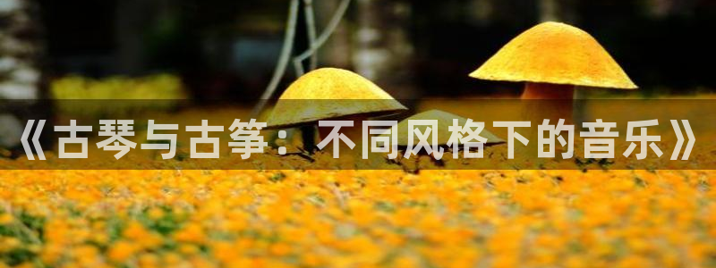 凯发官网登录地址陆地：《古琴与古筝：不同风格下的音乐》
