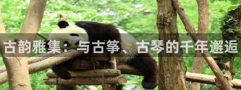 凯发k8官网so选来就送38：古韵雅集：与古筝、古琴的千年邂