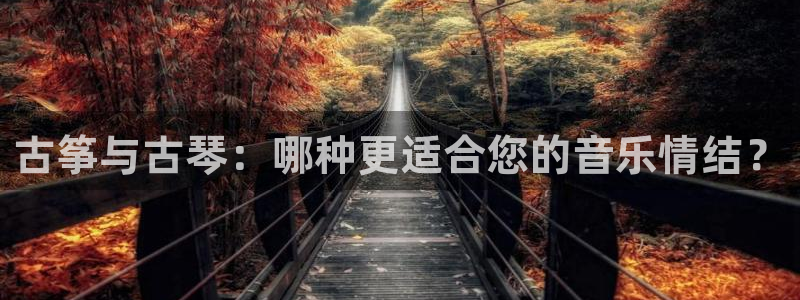 凯发k8国际手机网页：古筝与古琴：哪种更适合您的音乐情结？