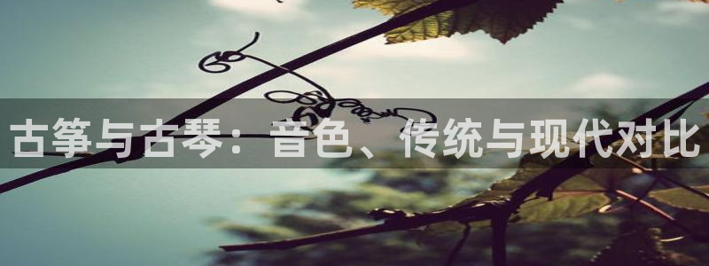 凯发网官网