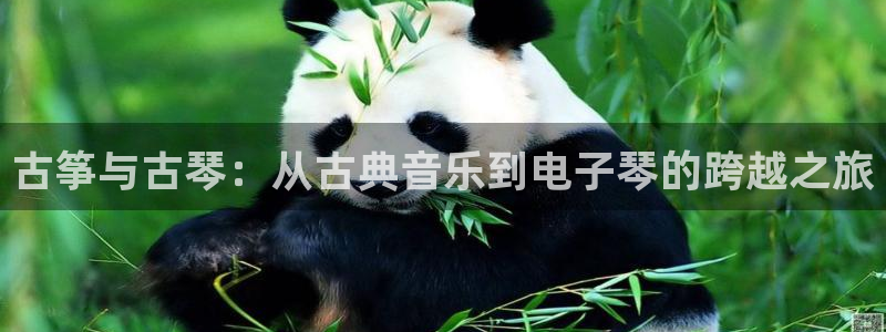 凯发k8国际不能提款了吗