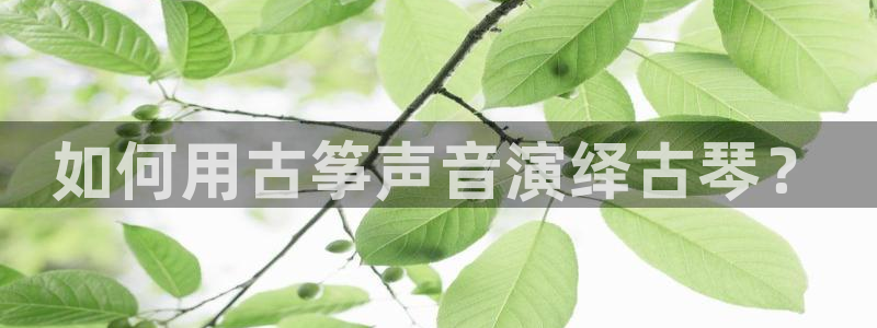 k8凯发是做什么的：如何用古筝声音演绎古琴？