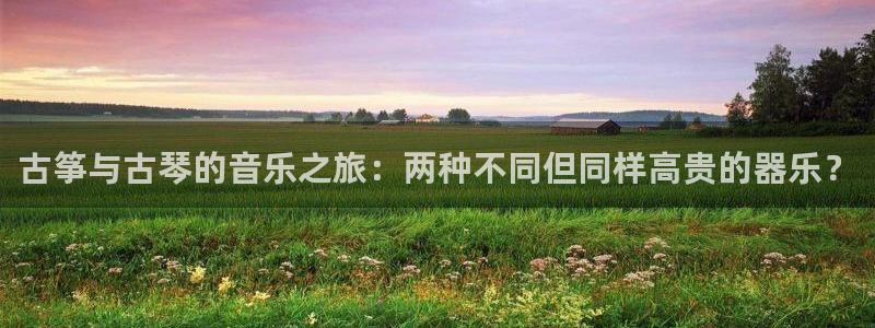 凯发国际网站首页：古筝与古琴的音乐之旅：两种不同但同样高贵的