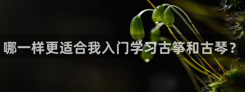 凯发k8娱乐旗舰厅