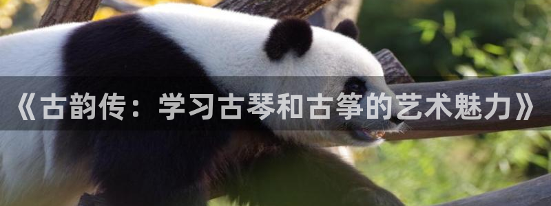 凯发k8国际真人娱乐手机app