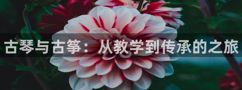 凯发k8手机是正品吗多少钱