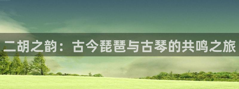 凯发娱乐k8下载：二胡之韵：古今琵琶与古琴的共鸣之旅