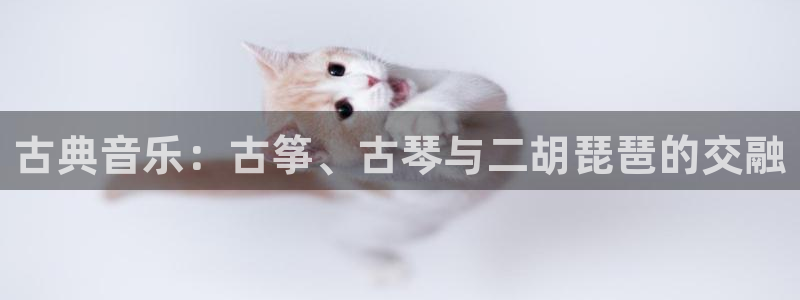凯发k8国际版官网